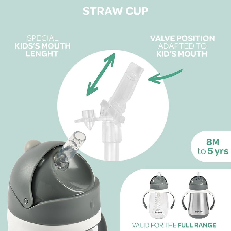 Baba Beaba Stainless Steel Straw Sippy Cup, Insulated Toddler Cups Spill Proof with Removable Handles, Made with High Grade Stainless Steel, 8+ months, 8.5 oz Terracotta - Image 3